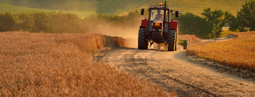 Agri Novatex | Before harvesting