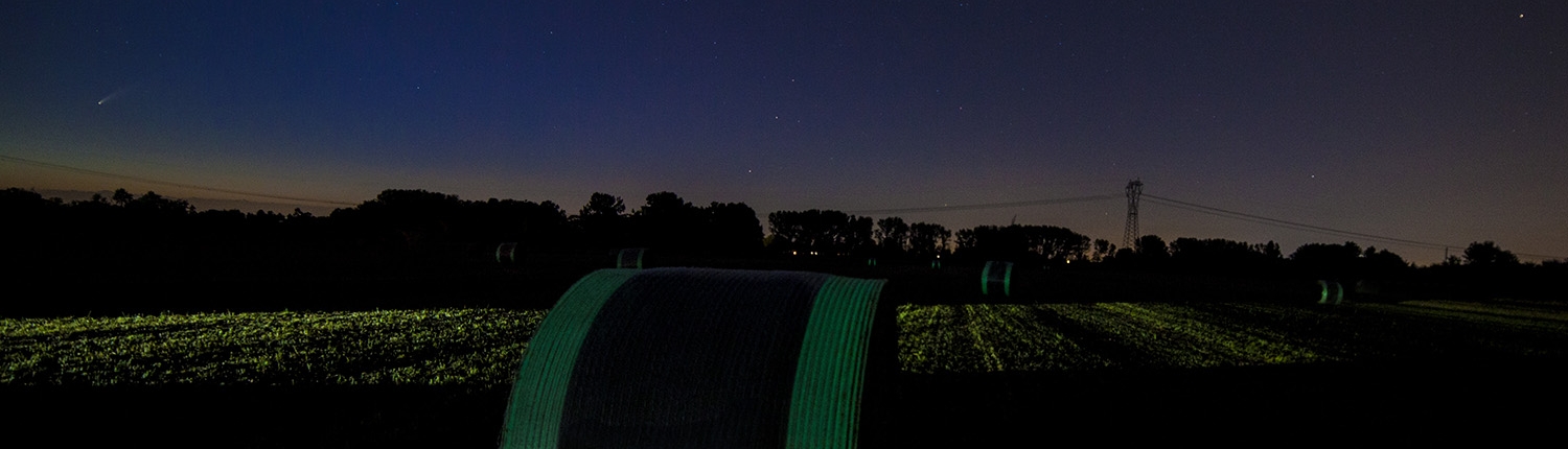 Novatex Italia | Luminescent net wrap