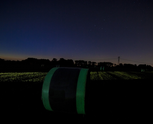 Novatex Italia | Luminescent net wrap